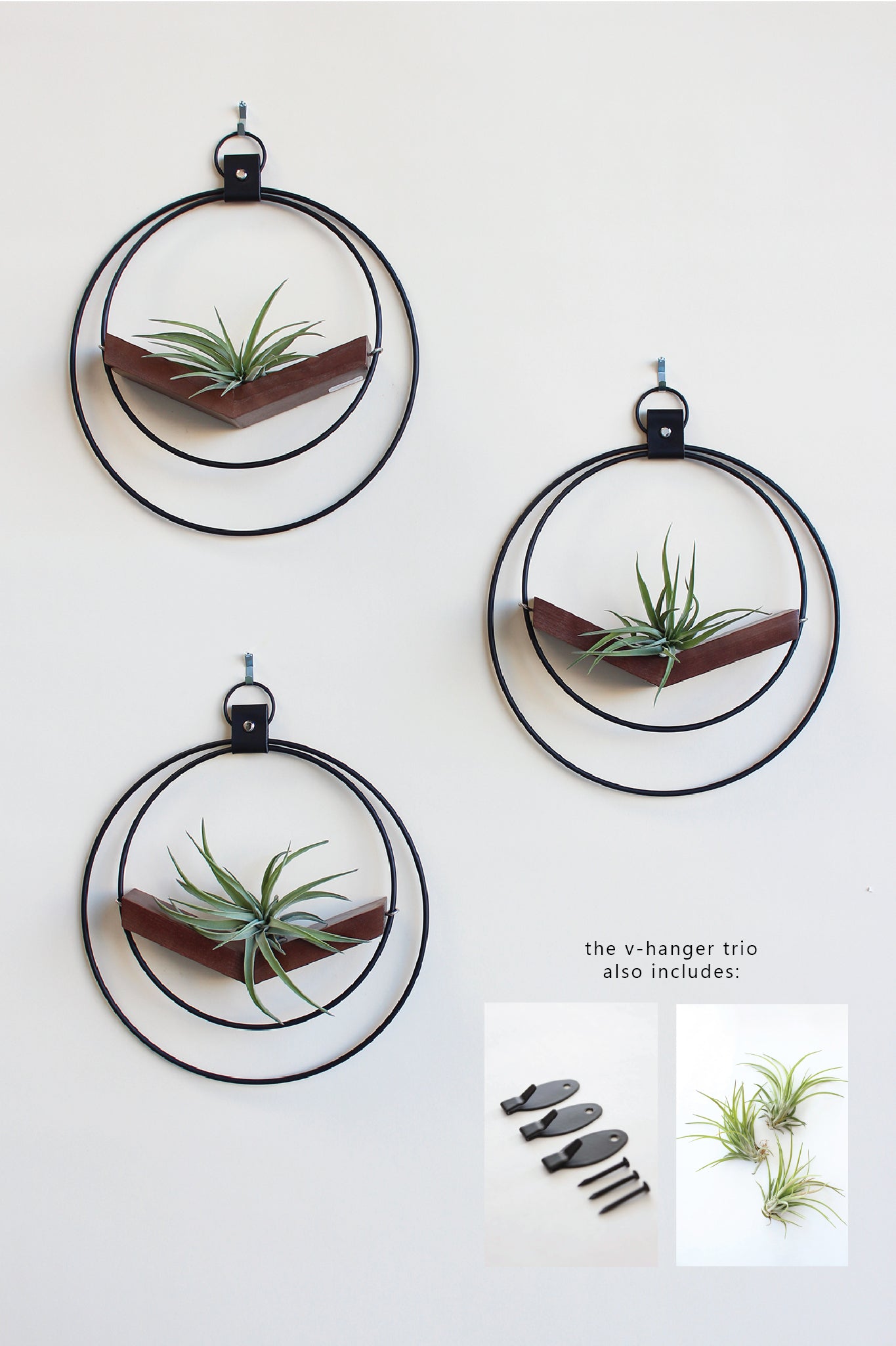 Air Plant V-Hanger Trio