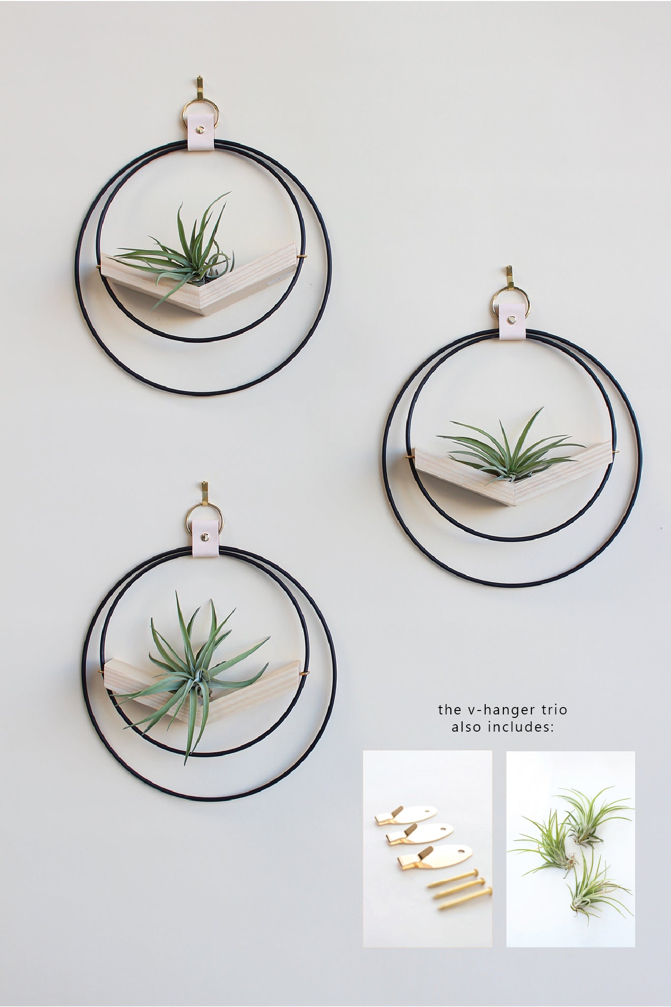 Air Plant V-Hanger Trio