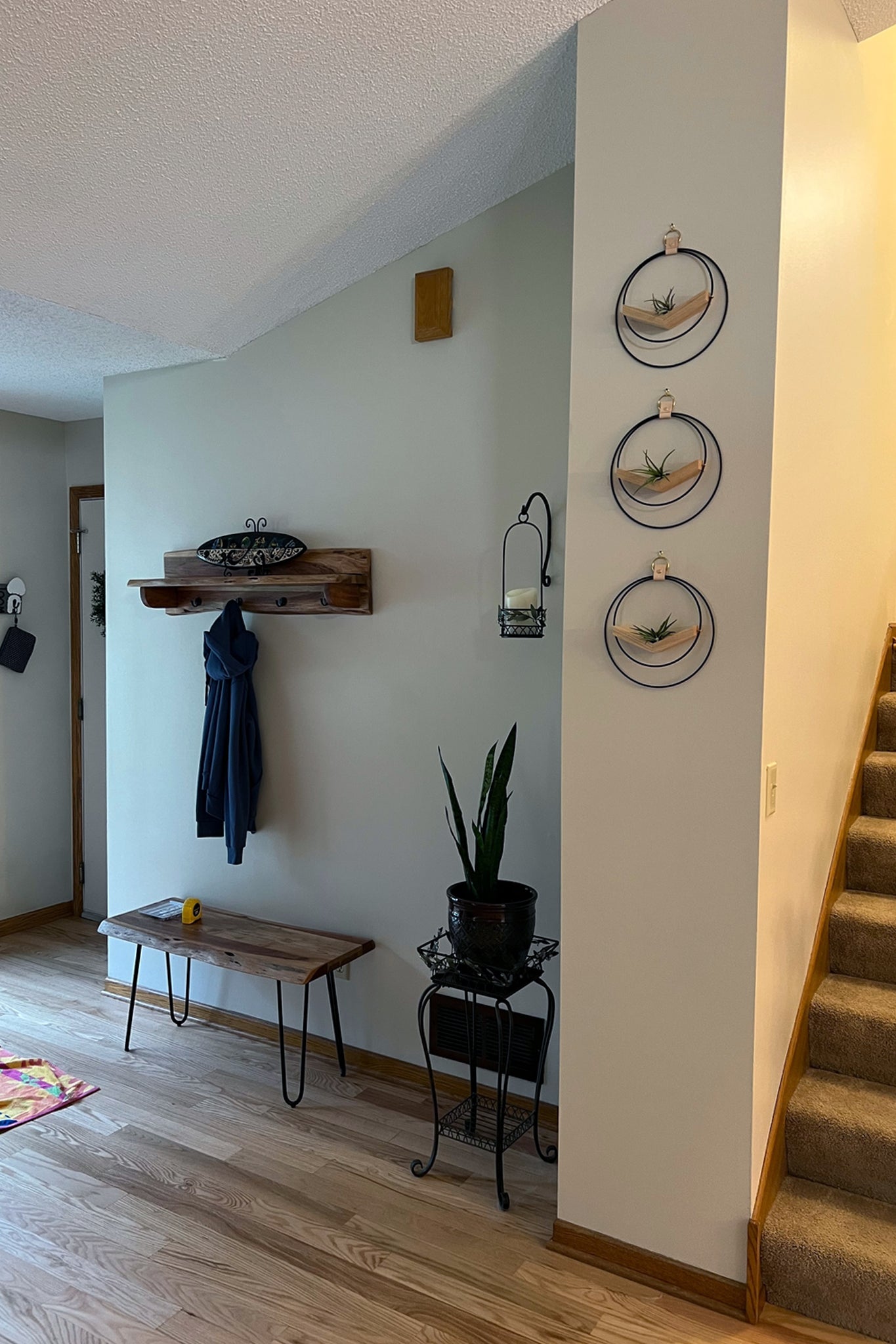 Air Plant V-Hanger Trio