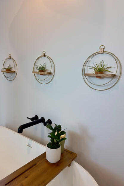 Air Plant Shelf + Pot Trio