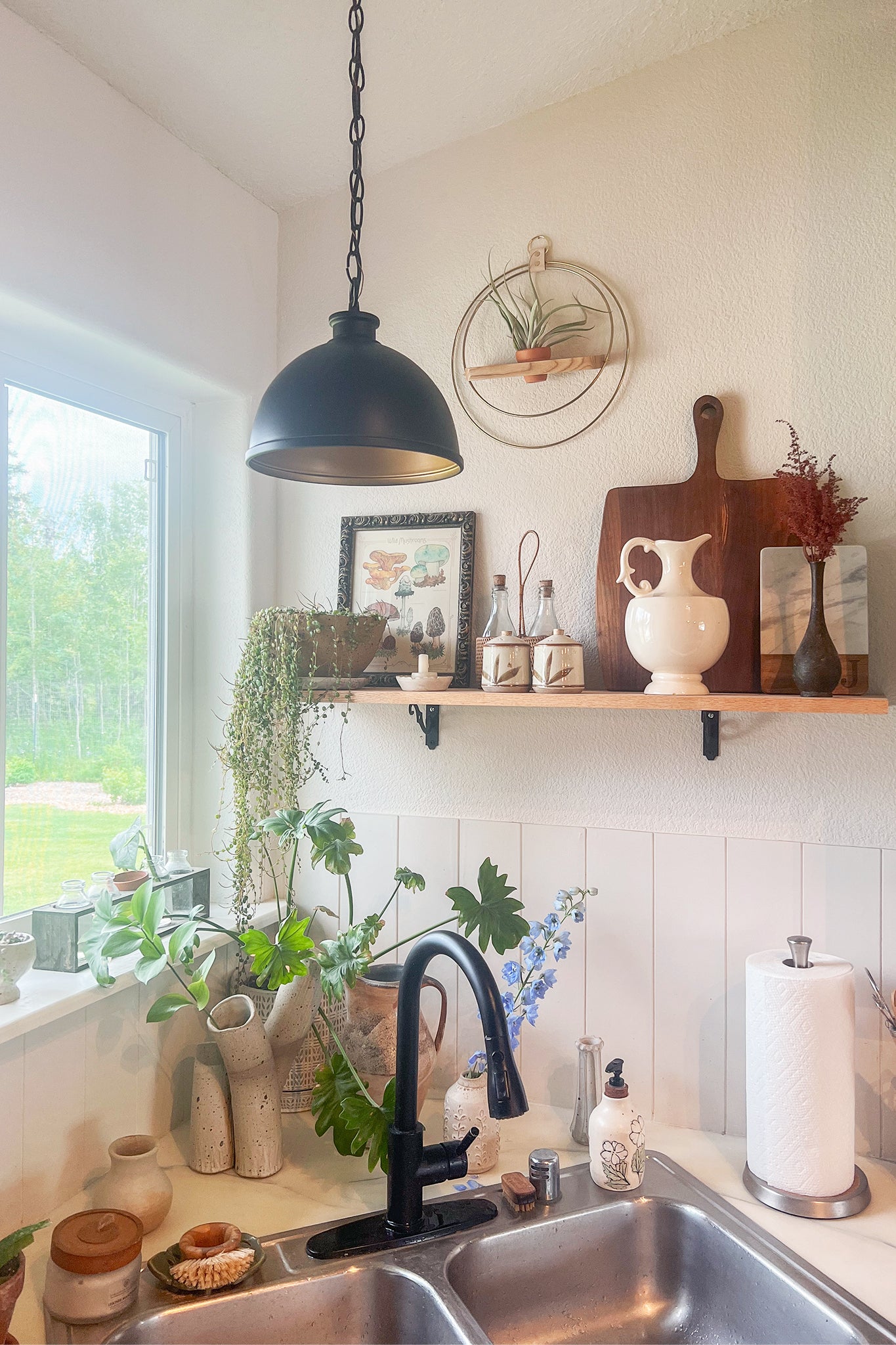 Air Plant Shelf + Pot