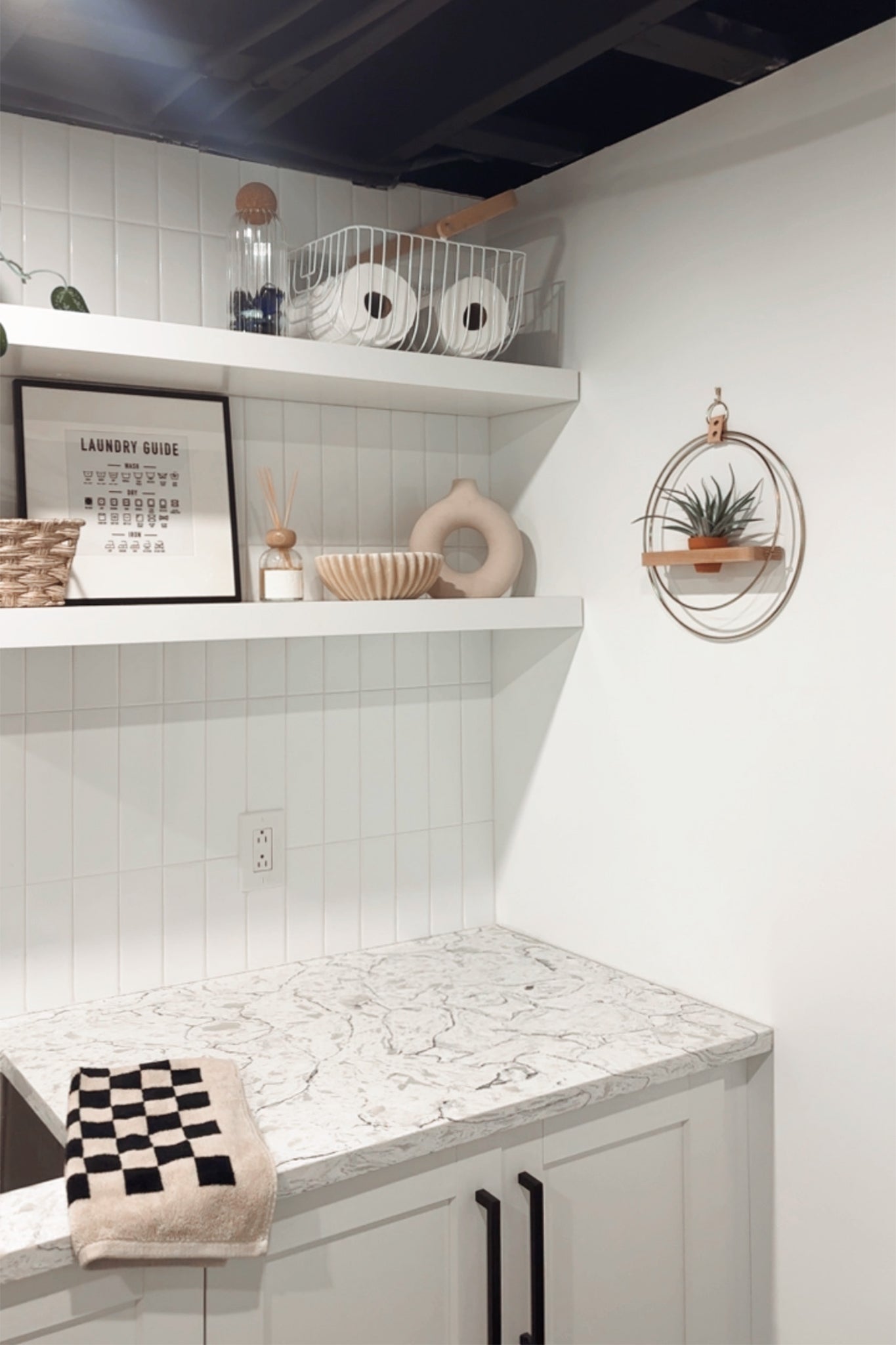 Air Plant Shelf + Pot