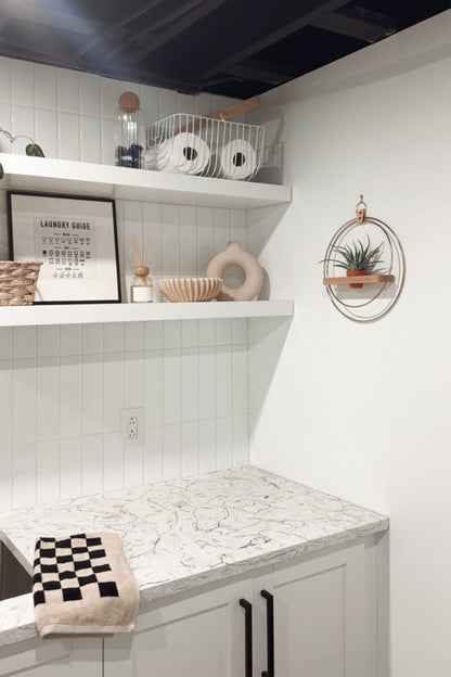 Air Plant Shelf + Pot