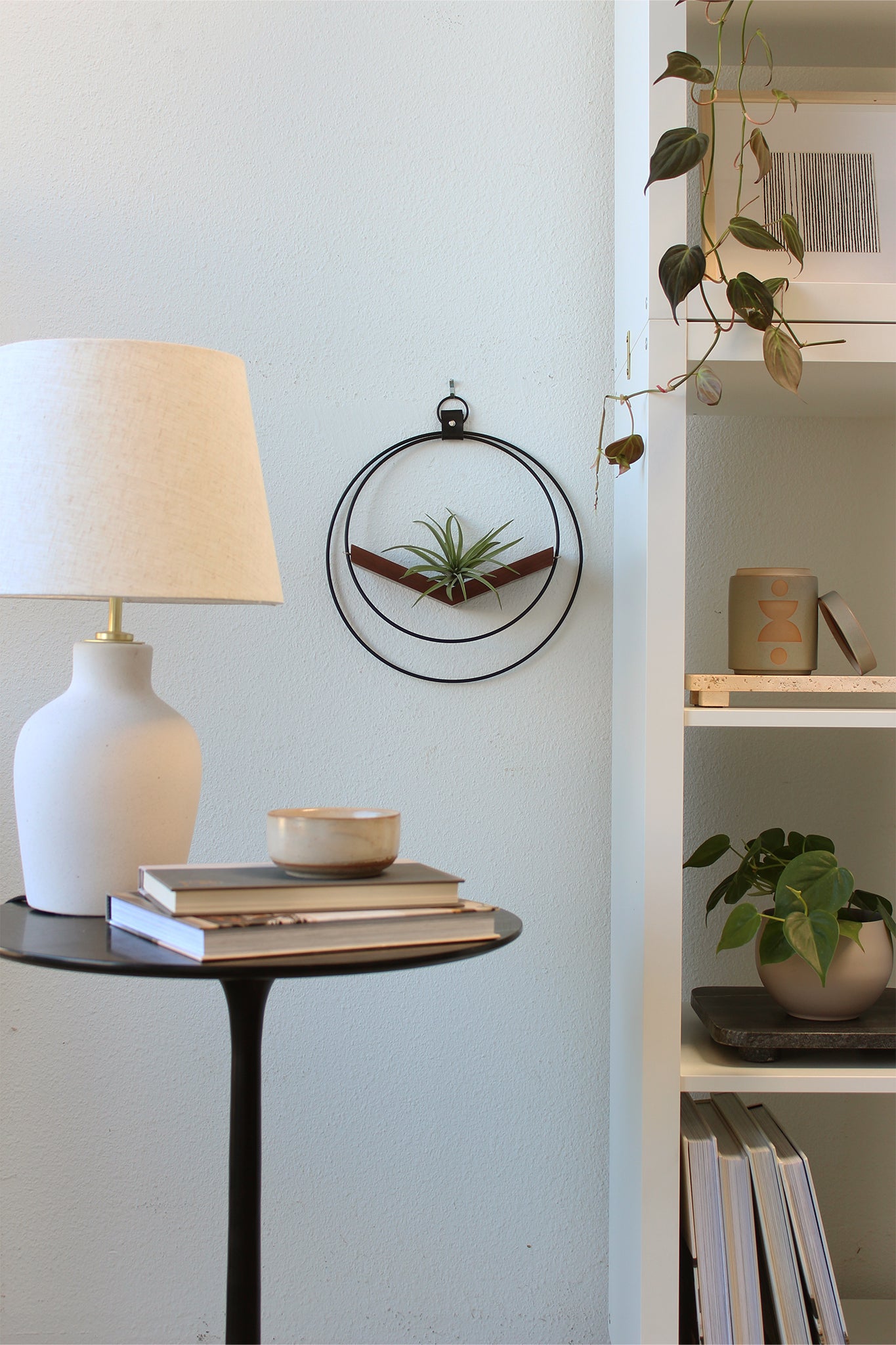 air plant stand holder V-Hanger Air Plant Holder