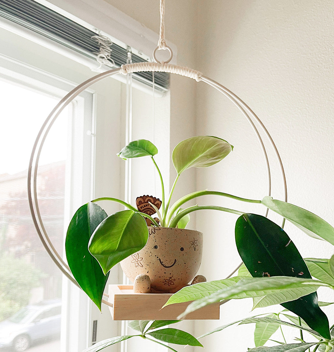 hanging planter with light Plant Hanger
