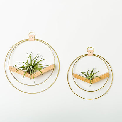 two air plant hangers with gold metal and white oak wood base