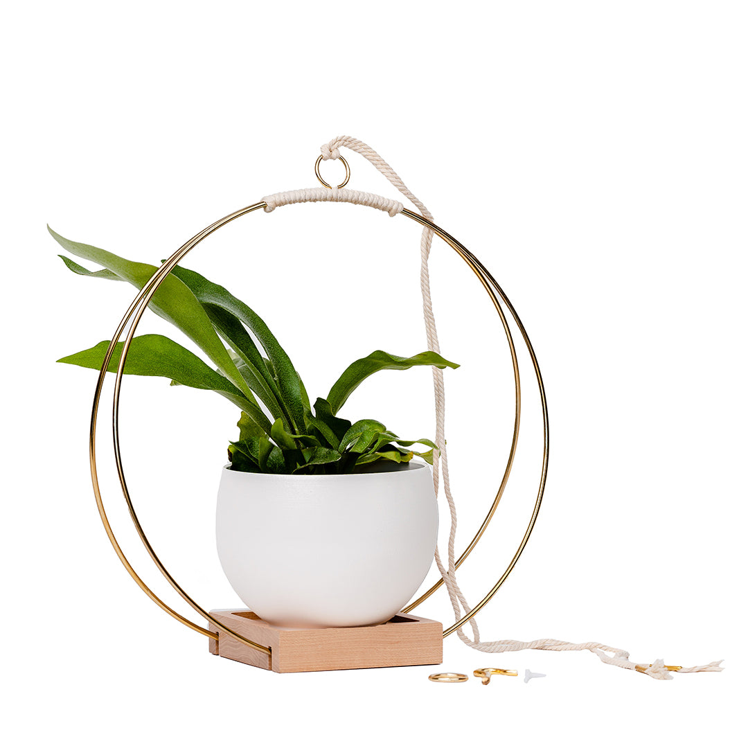 large plant hanger with gold metal and maple wood base and white colored aluminum pot