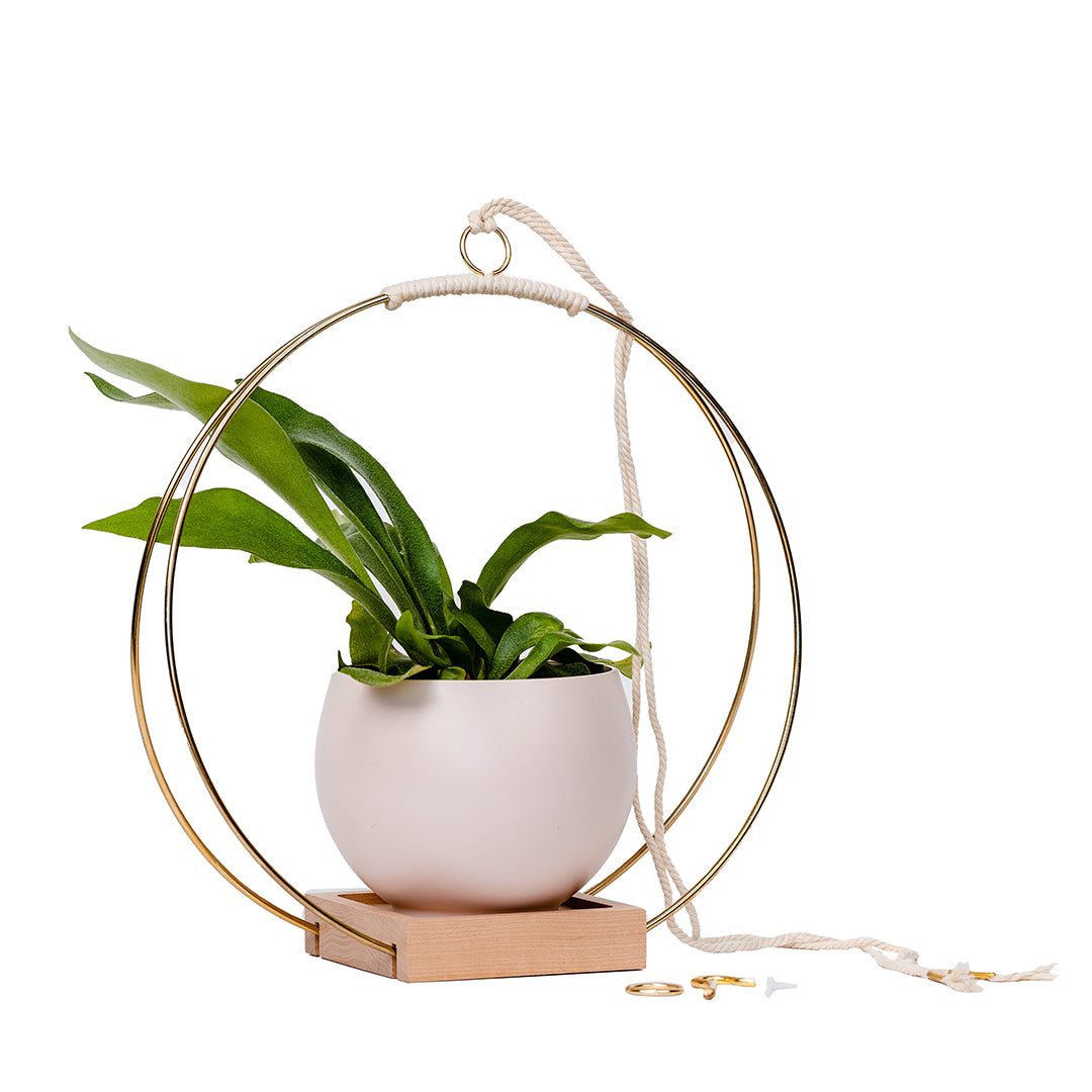large plant hanger with gold metal and maple wood base and blush colored aluminum pot