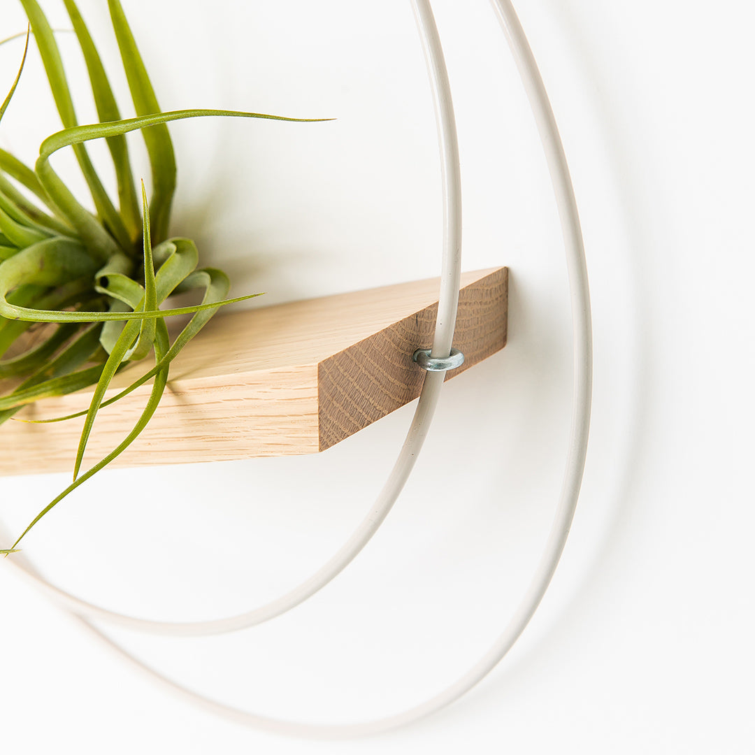side view of large air plant hanger with white metal and white oak wood base