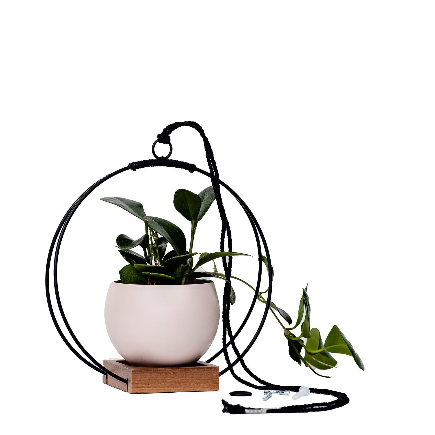 medium plant hanger with black metal and walnut wood base and blush colored aluminum pot