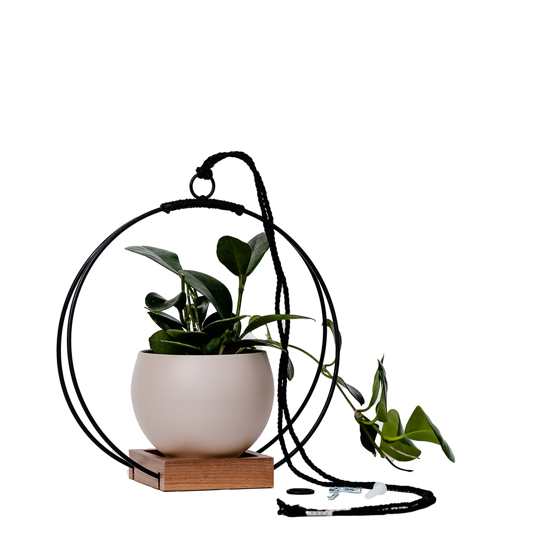 medium plant hanger with black metal and walnut wood base and tan colored aluminum pot