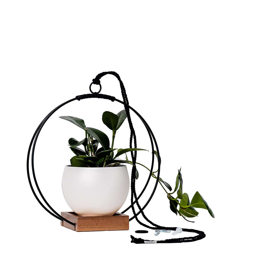 medium plant hanger with black metal and walnut wood base and white colored aluminum pot