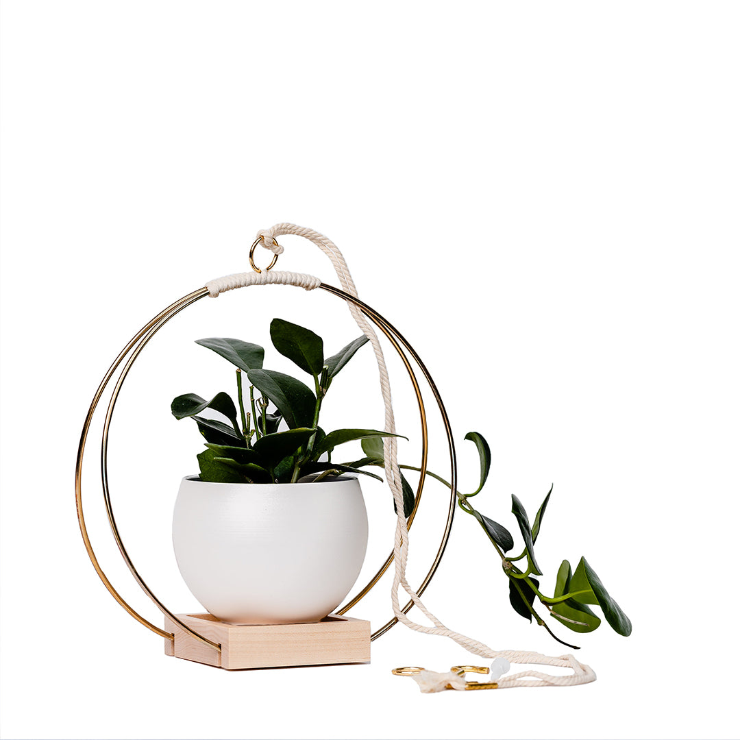 medium plant hanger with gold metal and maple wood base and white colored aluminum pot