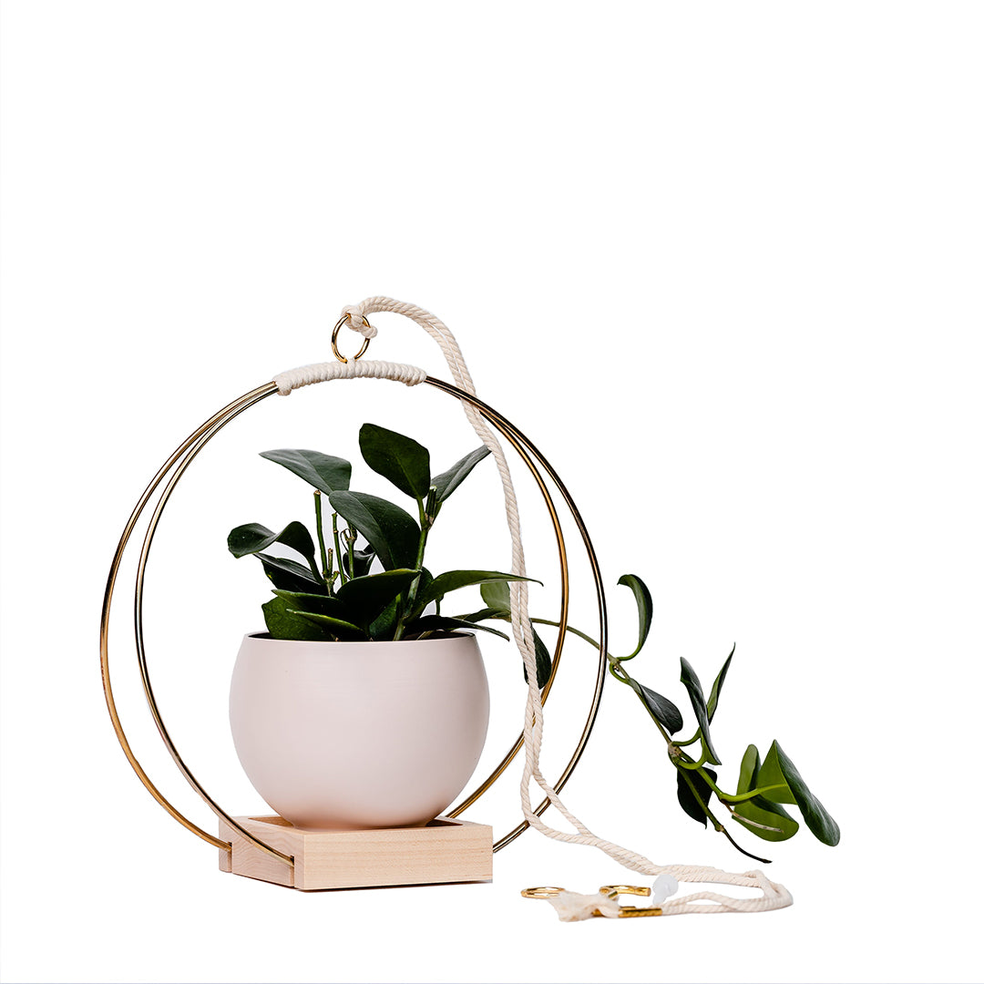 medium plant hanger with gold metal and maple wood base and blush colored aluminum pot