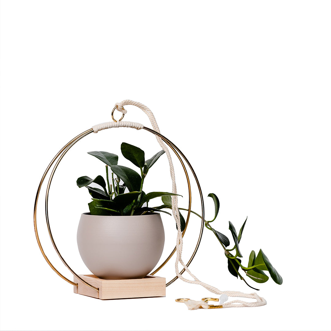 medium plant hanger with gold metal and maple wood base and tan colored aluminum pot