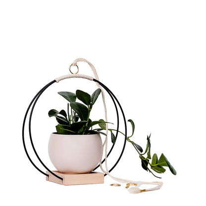 medium plant hanger with black and gold metal and maple wood base and tan colored aluminum pot