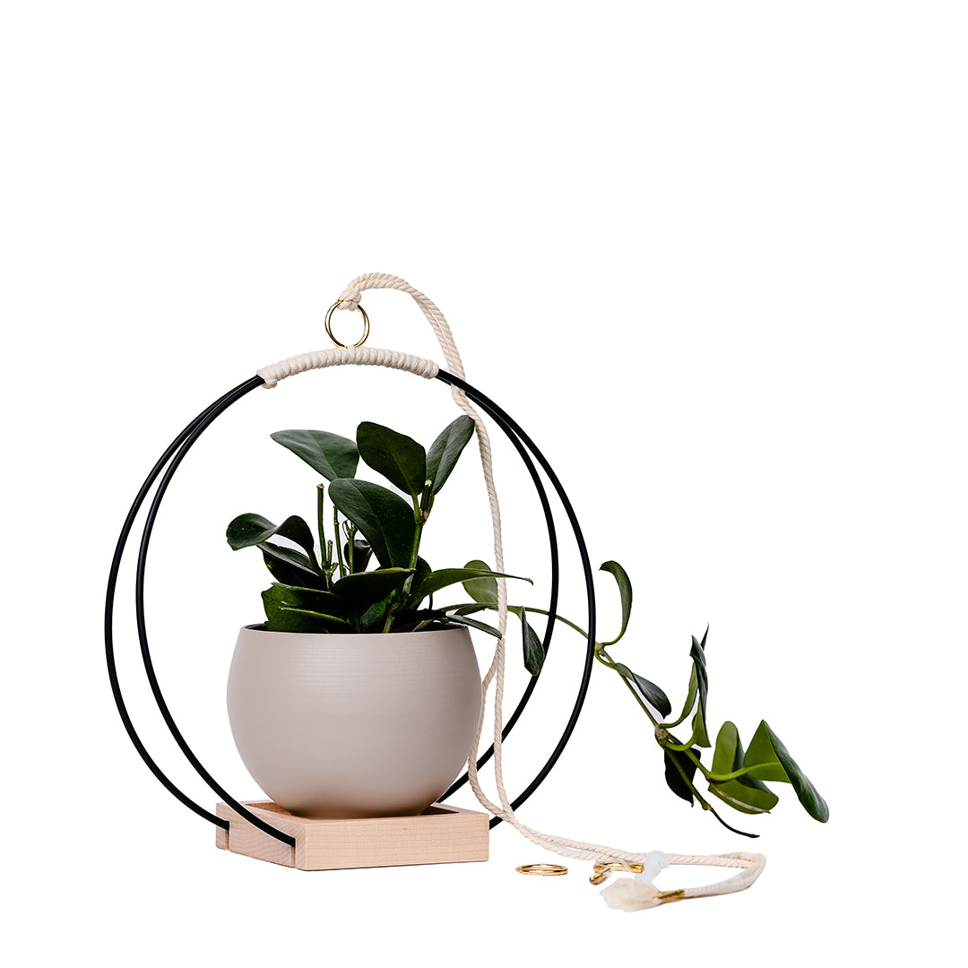 medium plant hanger with black and gold metal and maple wood base and blush colored aluminum pot