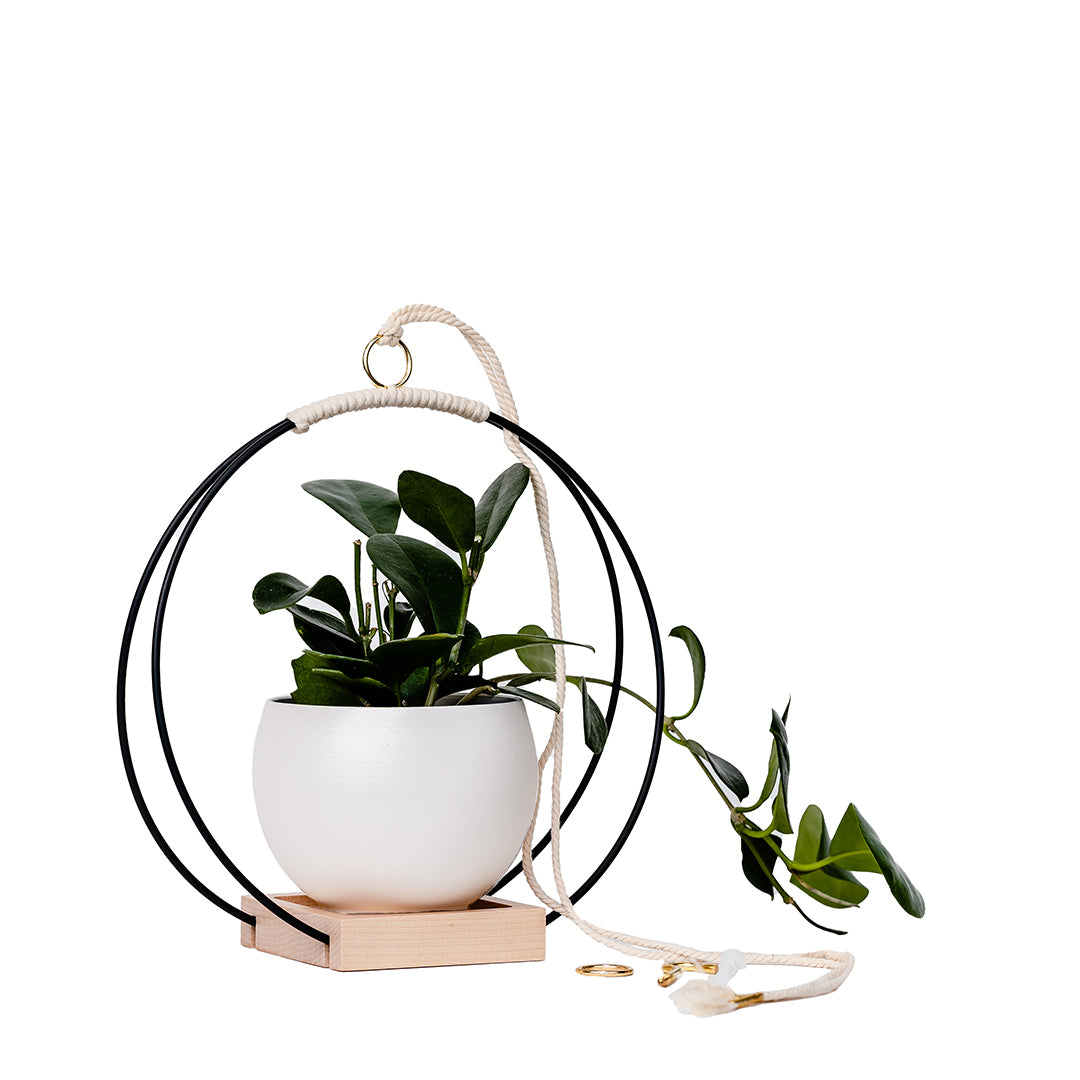 medium plant hanger with black and gold metal and maple wood base and white colored aluminum pot