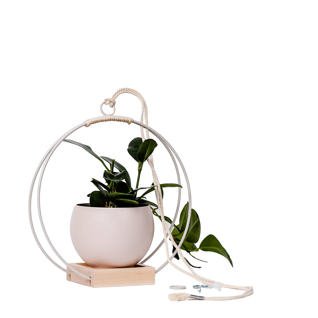 medium plant hanger with white metal and maple wood base and blush colored aluminum pot