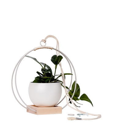 medium plant hanger with white metal and maple wood base and white colored aluminum pot