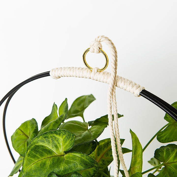 top view of medium plant hanger with black and gold metal and maple wood base