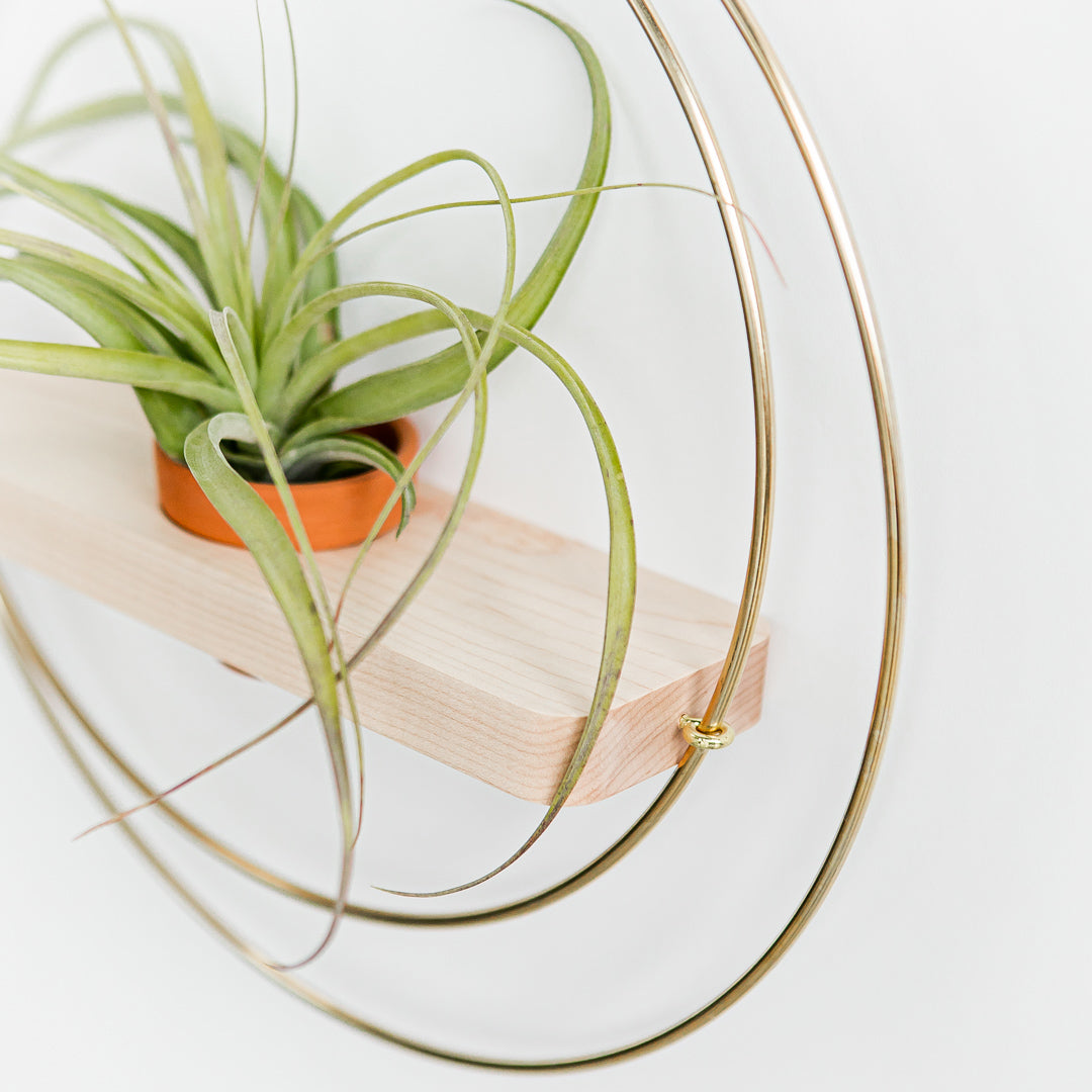 braid and wood plant hanger Plant Shelf (Dark & Stormy)