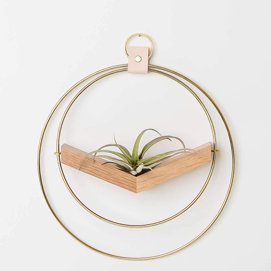 small air plant hanger with gold metal and white oak wood base holding an air plant