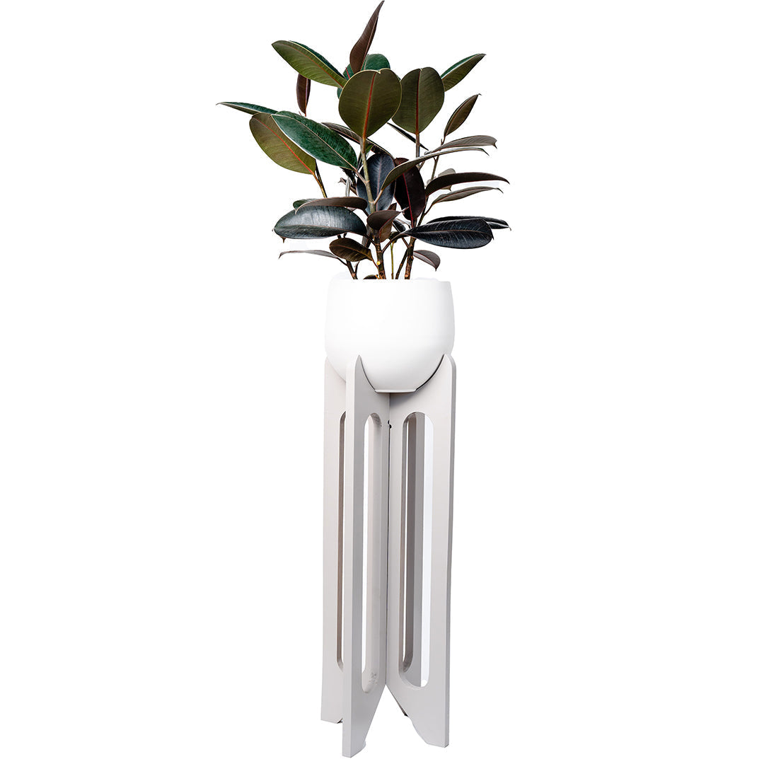 floor standing gray wood plant stand with white aluminum pot and rubber tree